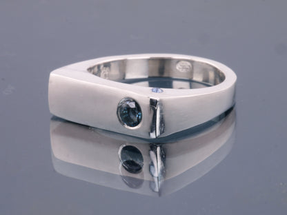 ADONIS Narrow Signet Ring - Sterling Silver