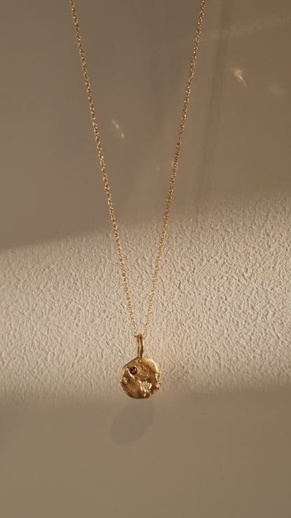 ZODIAC RELIC Pendant Necklace with Birthstone - 22k Gold Vermeil